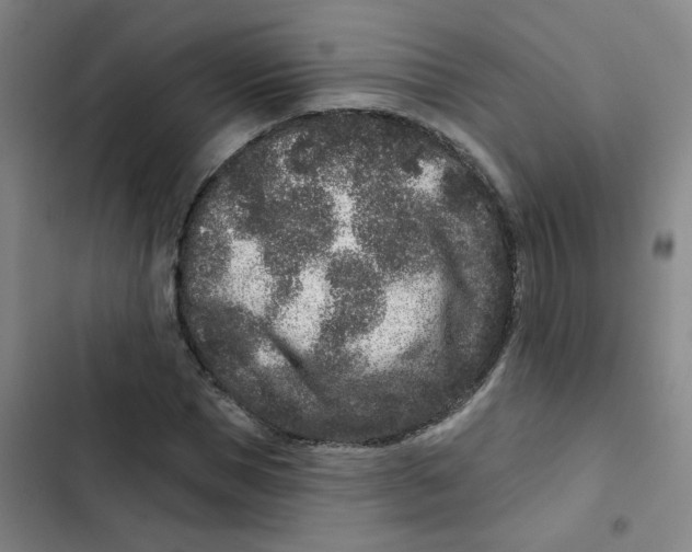 X0000102830921200809151036