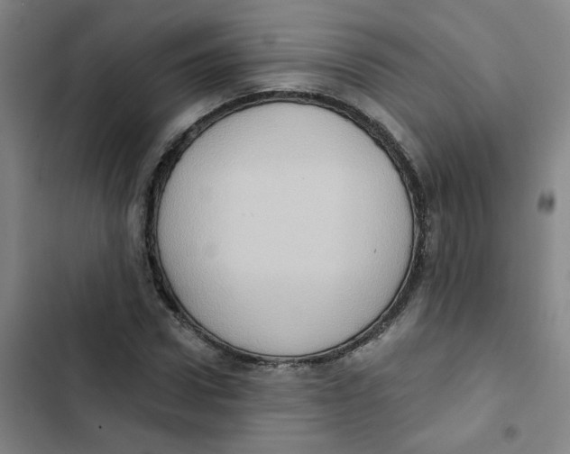 X0000102830922200809151036