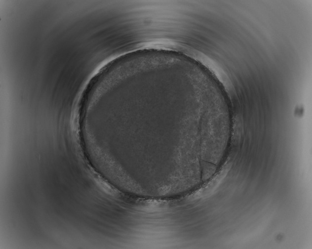 X0000102830923200809151036