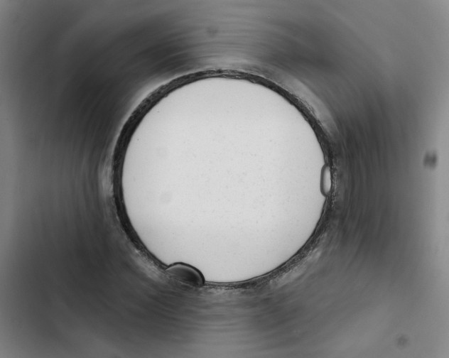 X0000102830924200809151036