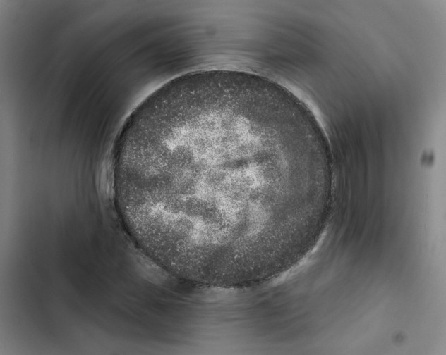 X0000102830925200809151036