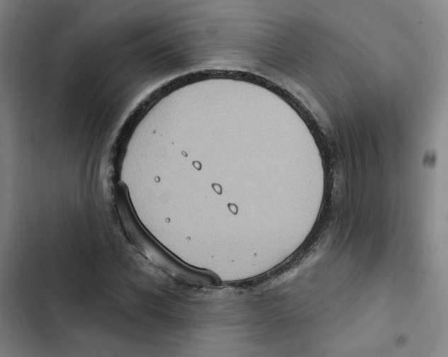 X0000102830926200809151036