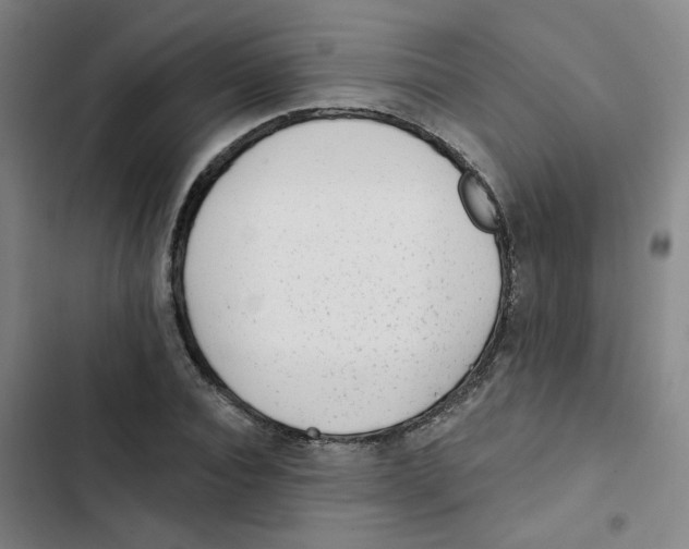 X0000102830928200809151036