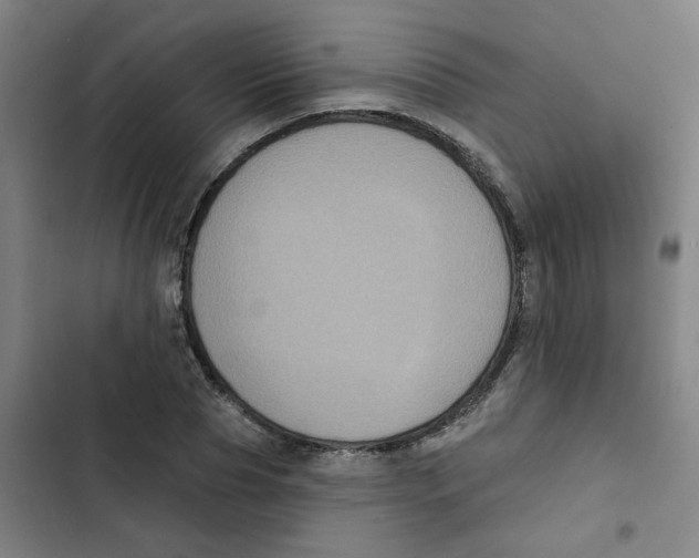 X0000102830929200809151036