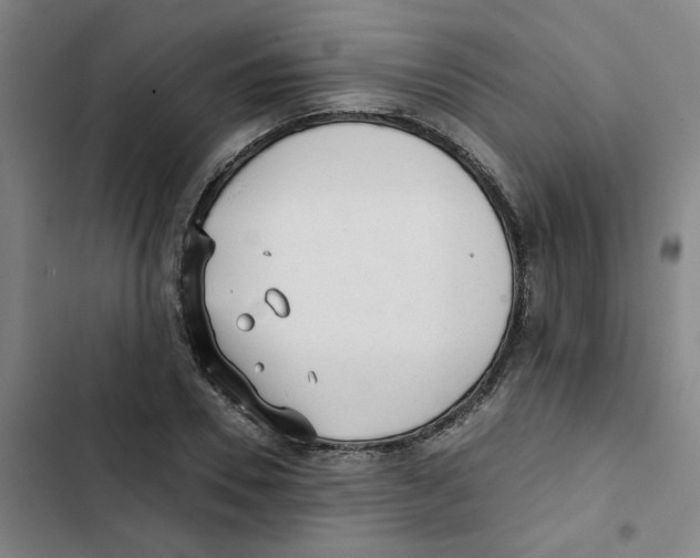 X0000102830930200809151036