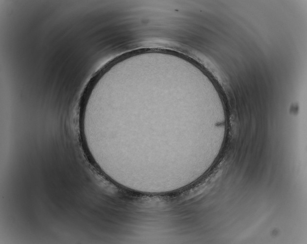 X0000102830931200809151036