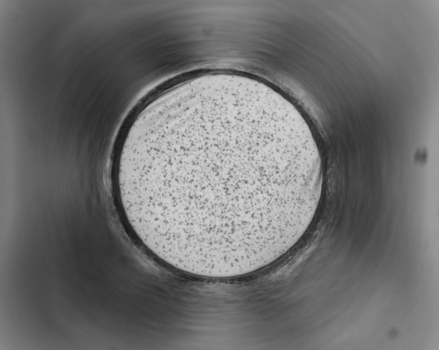 X0000102830932200809151036