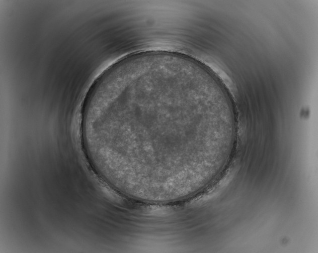 X0000102830933200809151036