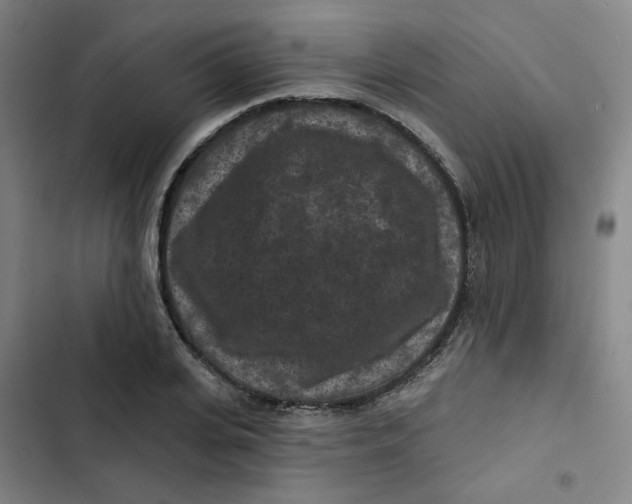X0000102830935200809151036