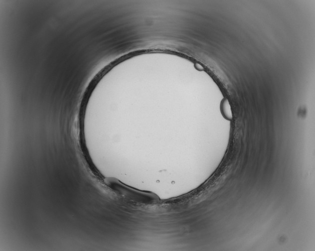 X0000102830936200809151036