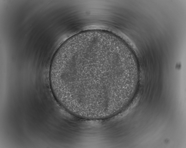 X0000102830937200809151036