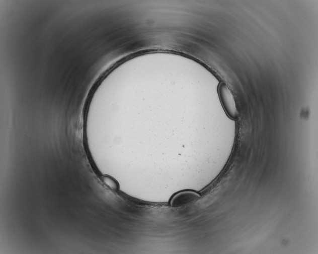 X0000102830940200809151036