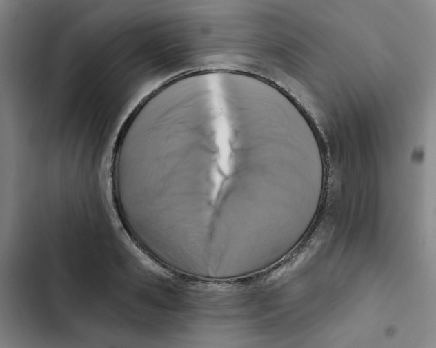 X0000102830941200809151036