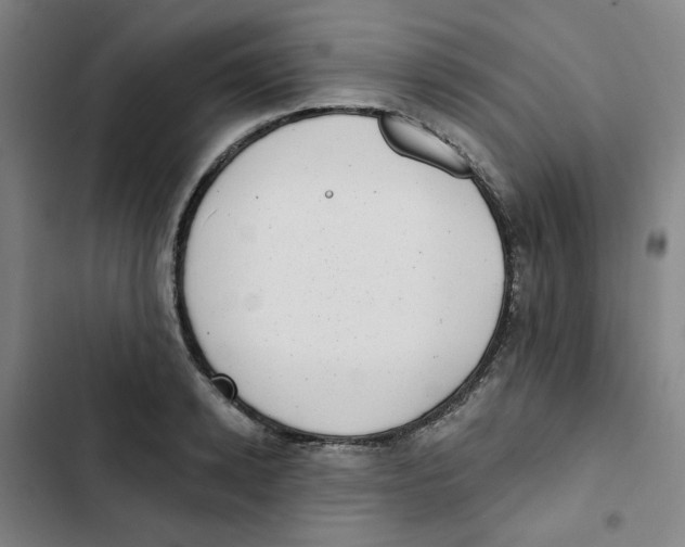 X0000102830942200809151036
