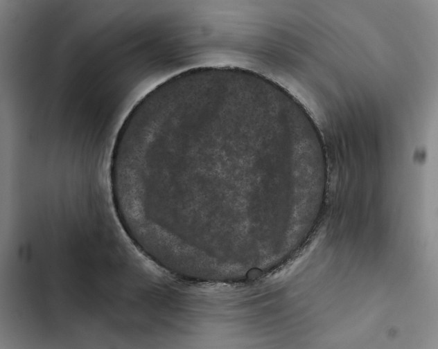 X0000102830943200809151036
