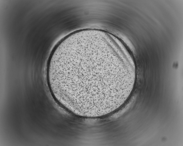 X0000102830944200809151036