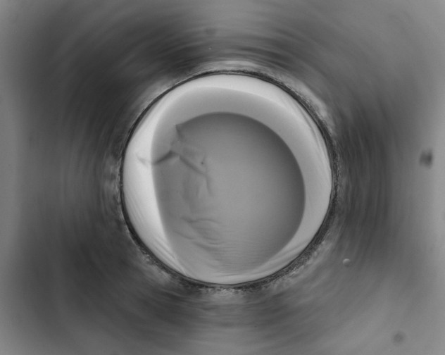 X0000102830945200809151036