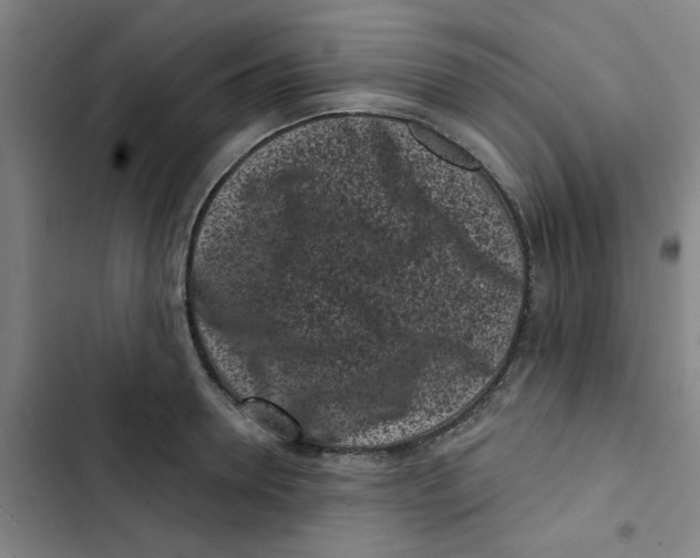 X0000102830946200809151036