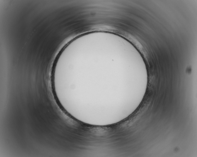 X0000102830947200809151036