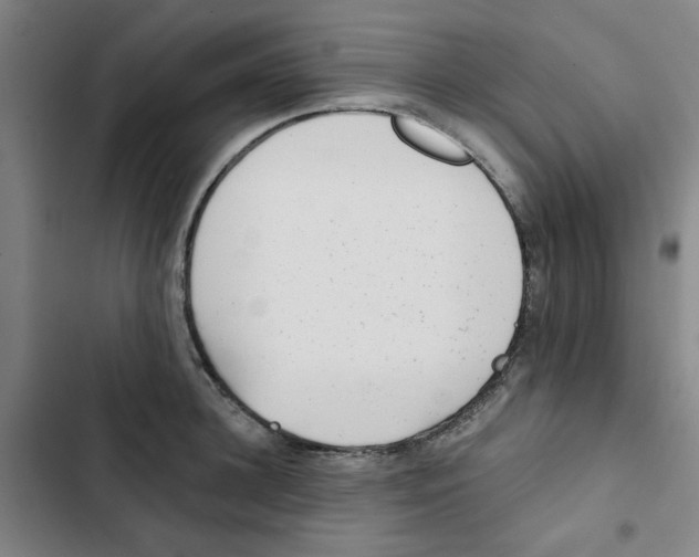X0000102830948200809151036