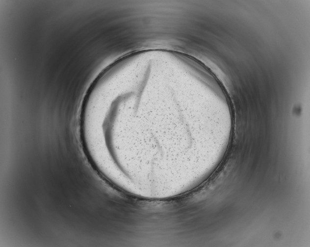 X0000102830949200809151036