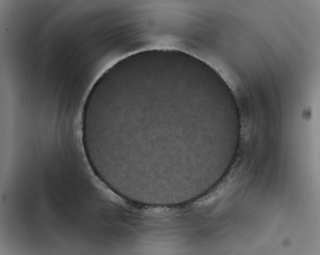 X0000102830950200809151036