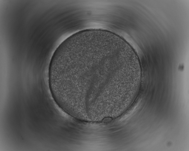 X0000102830951200809151036