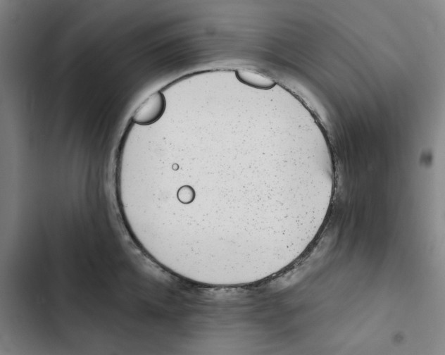 X0000102830952200809151036