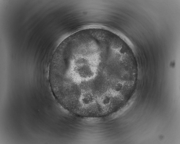 X0000102830953200809151036