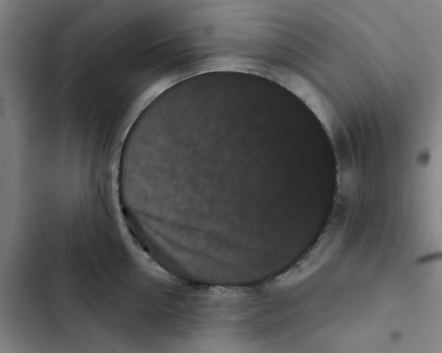 X0000102830954200809151036