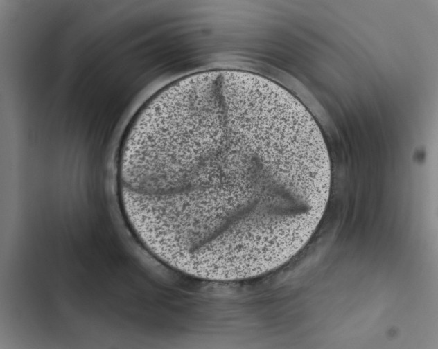 X0000102830955200809151036