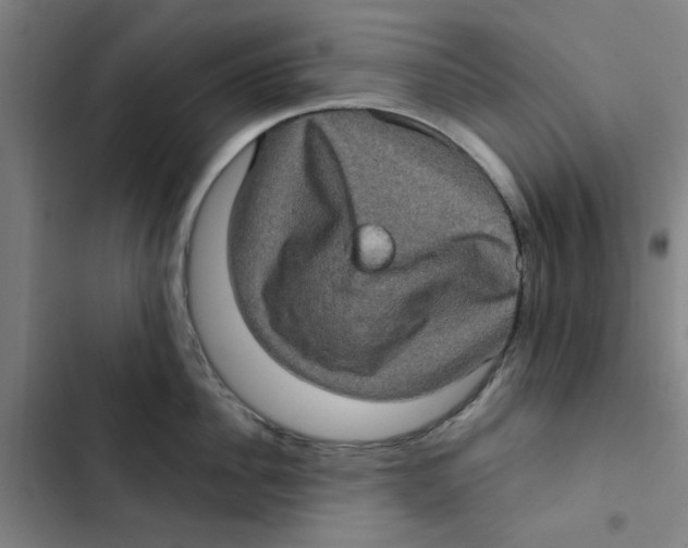 X0000102830956200809151036