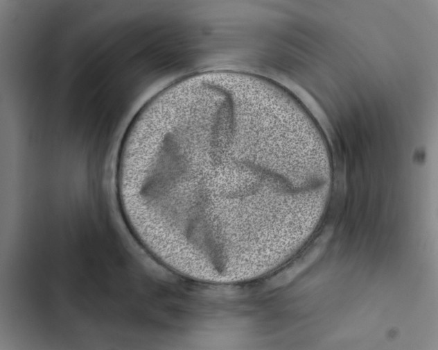 X0000102830957200809151036