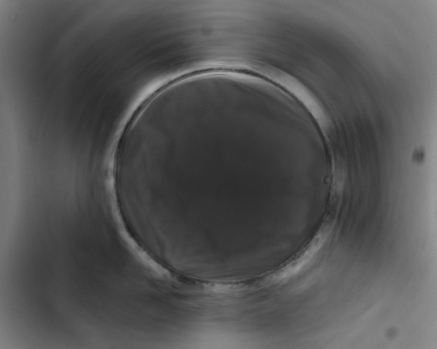 X0000102830958200809151036