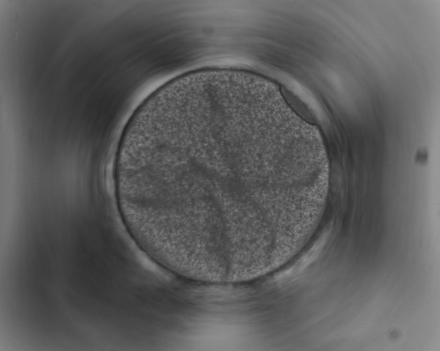 X0000102830959200809151036