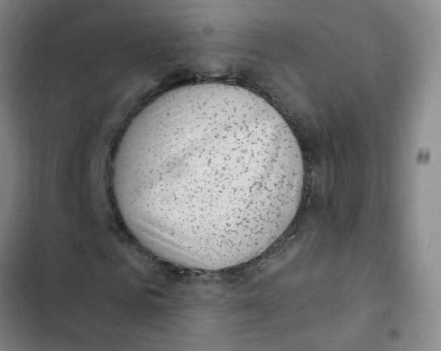X0000102830961200809151036