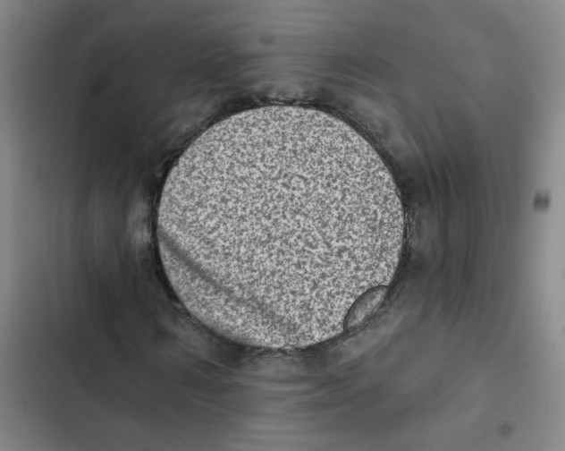 X0000102830962200809151036