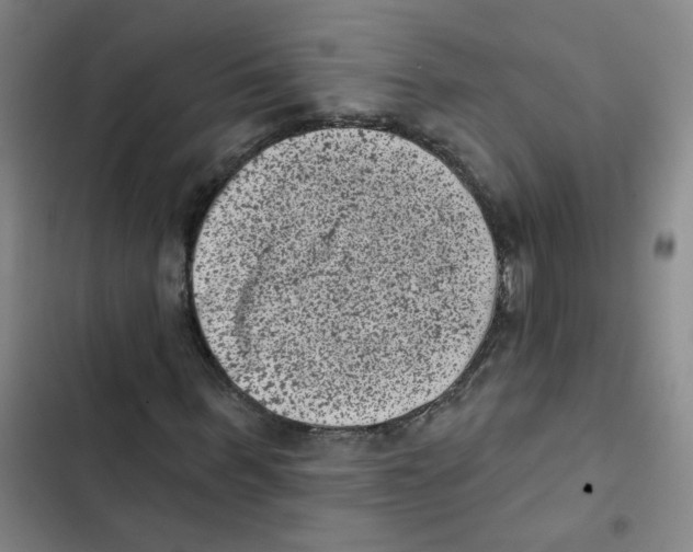X0000102830963200809151036
