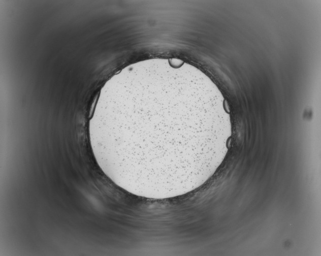 X0000102830964200809151036