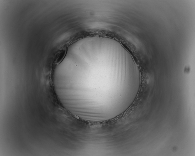 X0000102830965200809151036