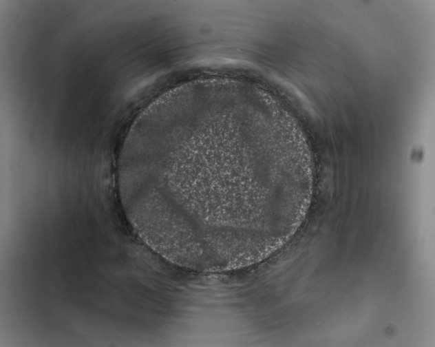 X0000102830966200809151036