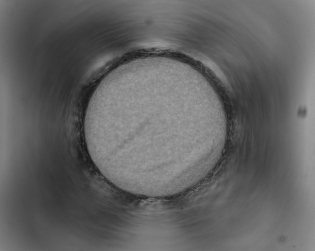 X0000102830967200809151036