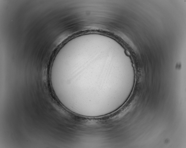 X0000102830969200809151036
