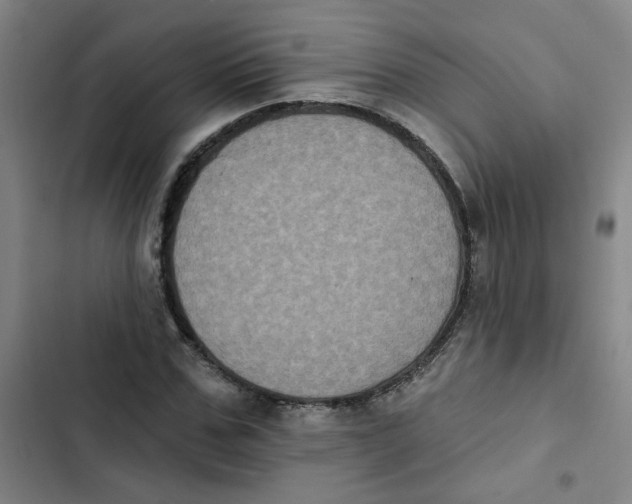 X0000102830971200809151035