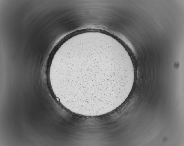 X0000102830972200809151035