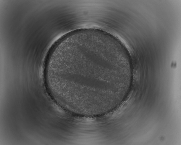X0000102830975200809151035