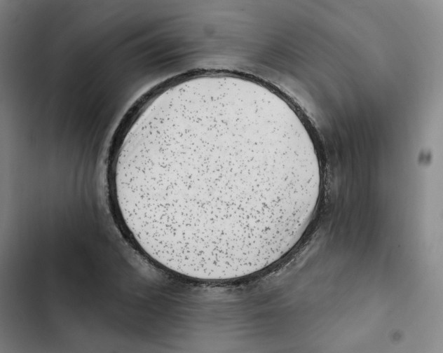 X0000102830976200809151035