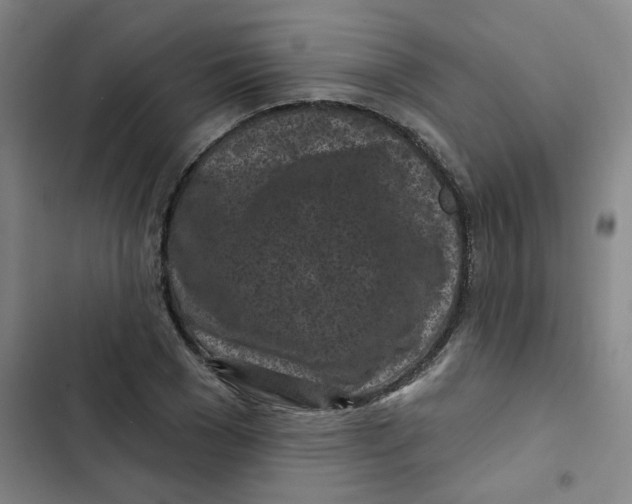 X0000102830977200809151035
