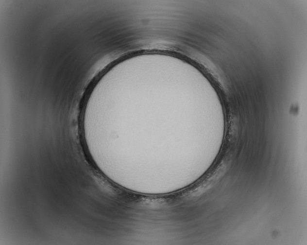 X0000102830978200809151035