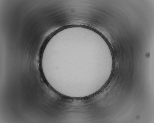 X0000102830979200809151035